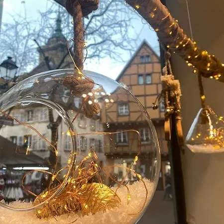 Les Lavandieres アパート コルマール