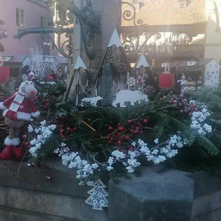 Les Lavandieres アパート コルマール