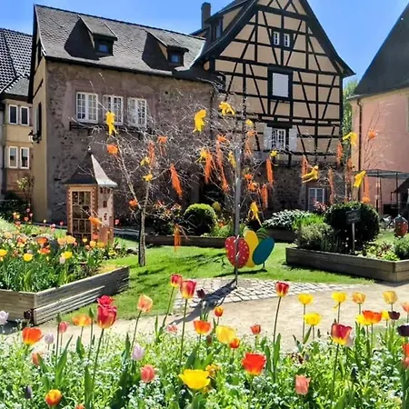 Apartment Les Lavandieres Colmar