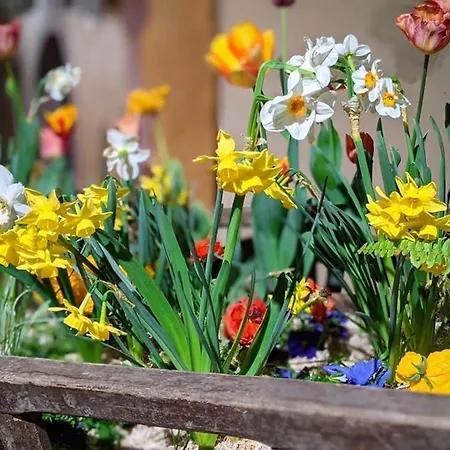 Les Lavandieres コルマール