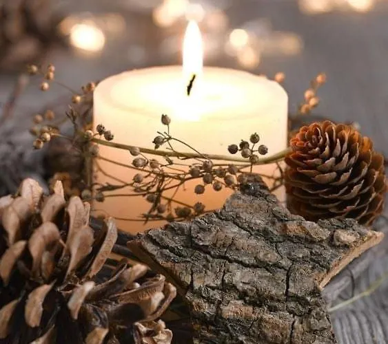 Les Lavandieres * Colmar