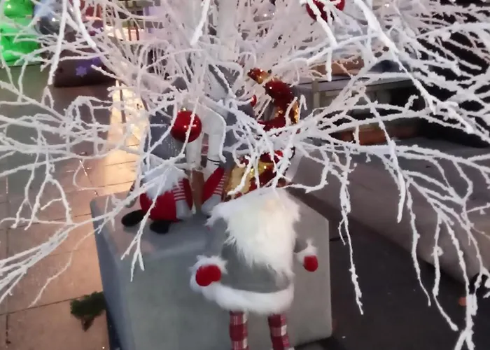 Les Lavandieres Colmar