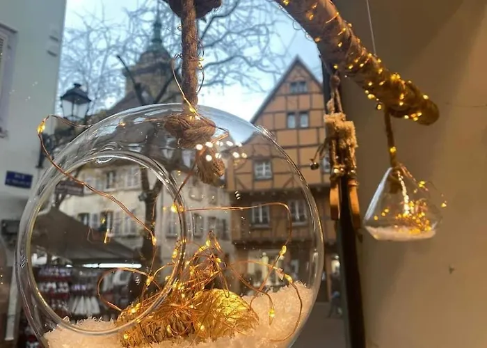 Les Lavandieres Apartman Colmar