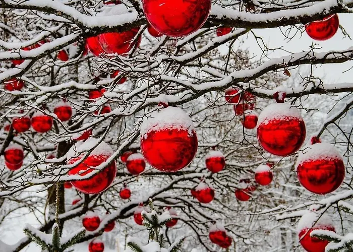 Apartman Les Lavandieres